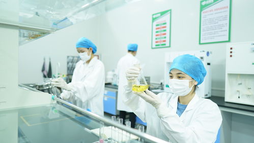 疆果果健康食品研究院獲評自治區(qū)級企業(yè)技術(shù)中心，引領(lǐng)健康食品產(chǎn)業(yè)創(chuàng)新發(fā)展