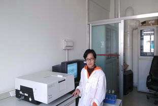 人員隊伍建設(shè)在公共技術(shù)服務(wù)中心的技術(shù)咨詢中的作用與策略